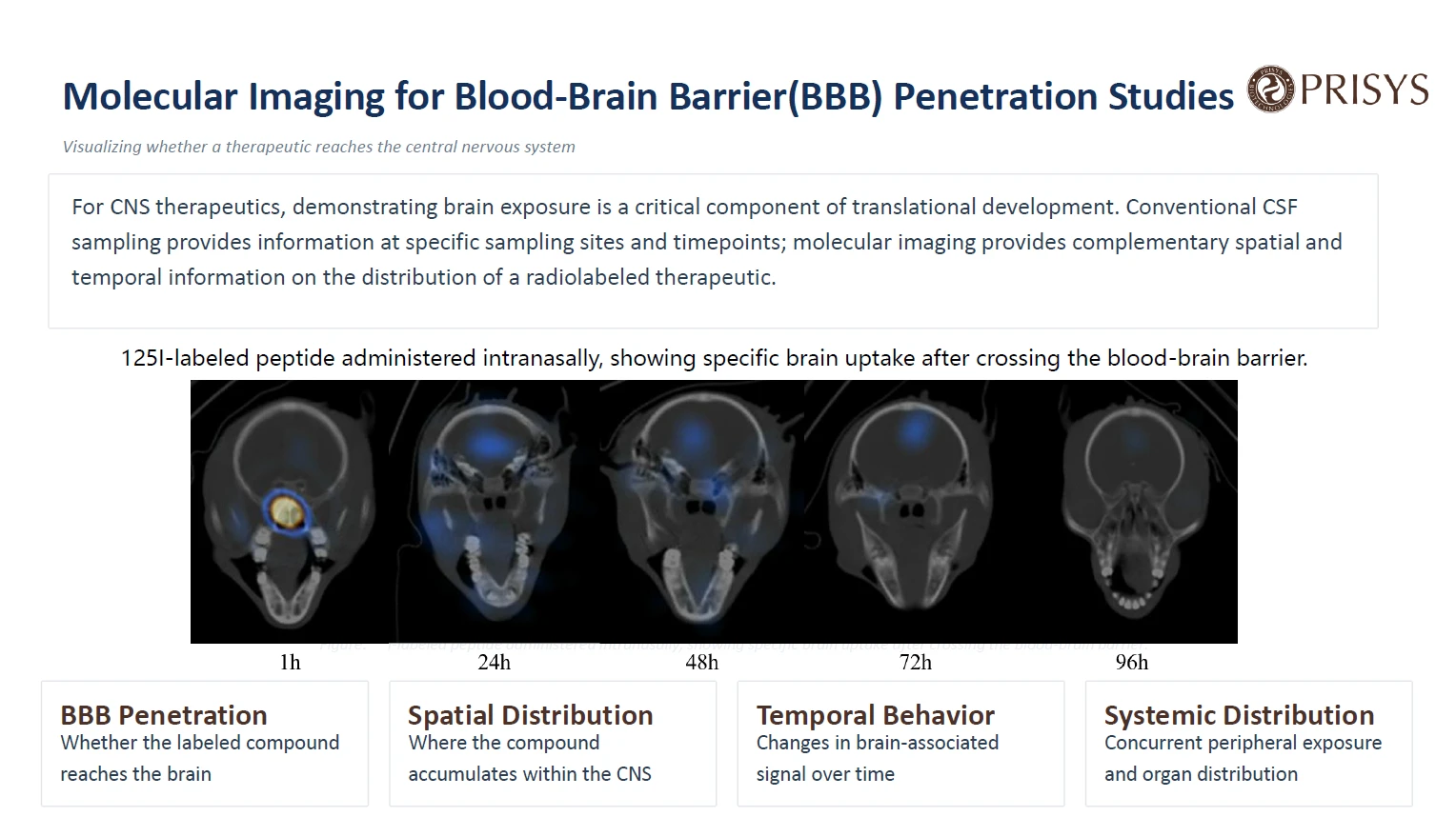 Molecular Imaging for Blood-Brain Barrier(BBB) Penetration Studies Visualizing whether a therapeutic reaches the central nervous system Molecular Imaging for Blood-Brain Barrier(BBB) Penetration Studies Visualizing whether a therapeutic reaches the central nervous system